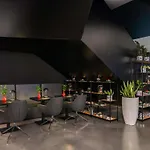 Ibis Styles Centrum מלון ורוצלב